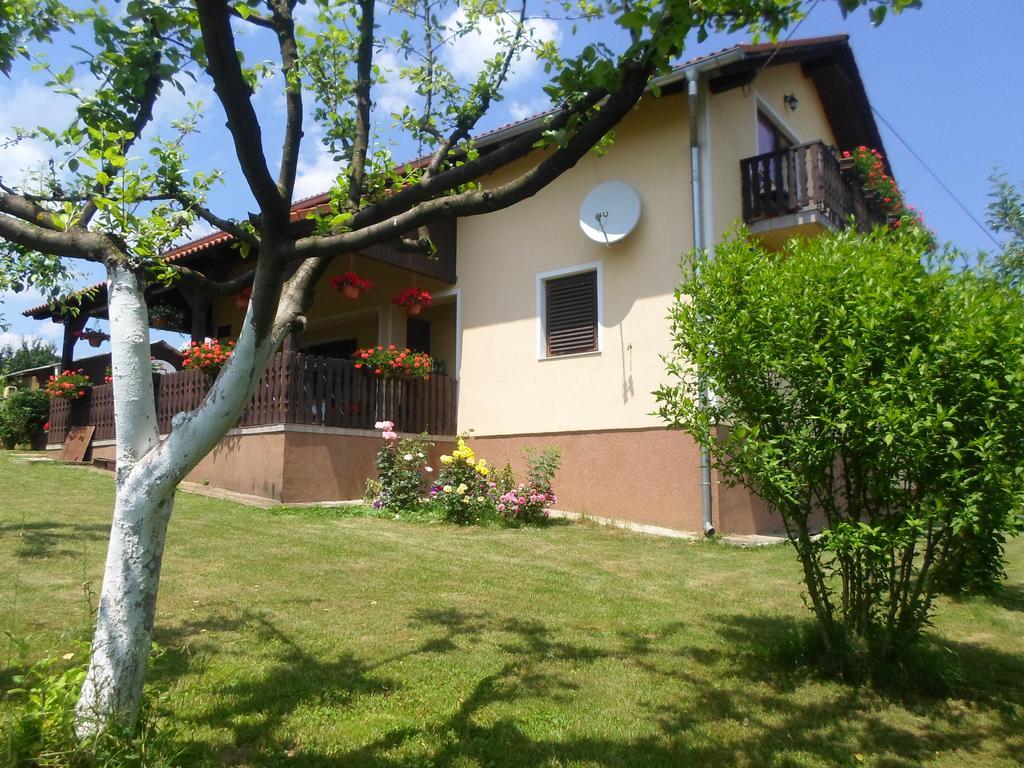 House Petra Apartment Rakovica Bagian luar foto