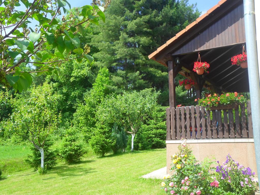 House Petra Apartment Rakovica Bagian luar foto