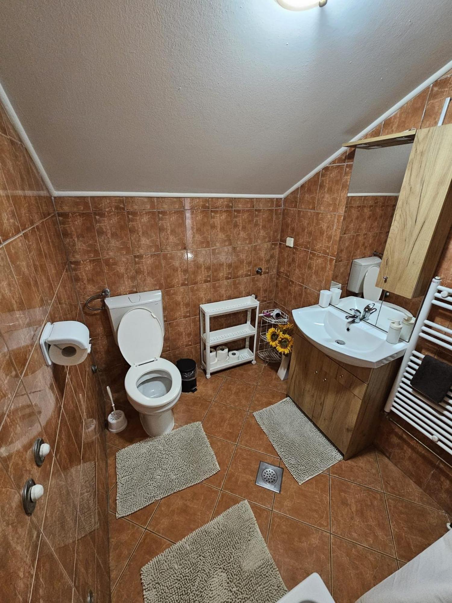 House Petra Apartment Rakovica Bagian luar foto