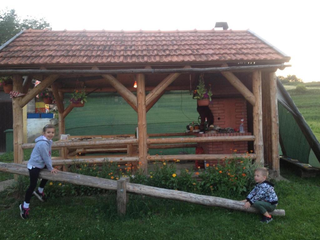 House Petra Apartment Rakovica Bagian luar foto