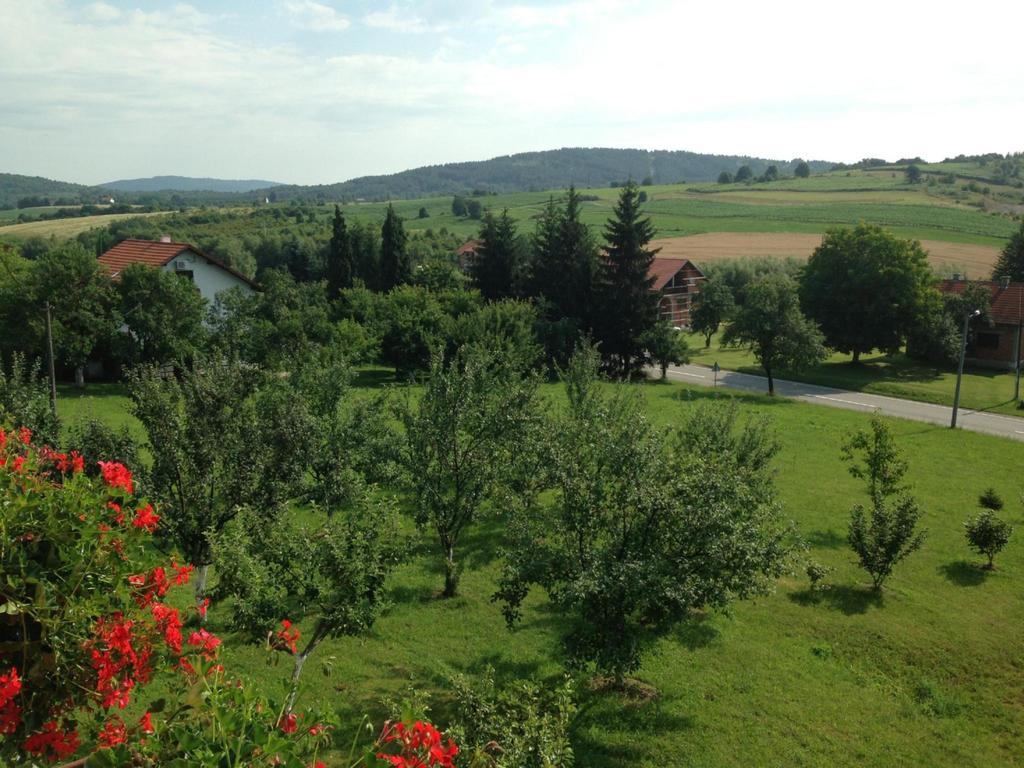 House Petra Apartment Rakovica Bagian luar foto