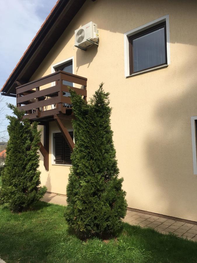 House Petra Apartment Rakovica Bagian luar foto