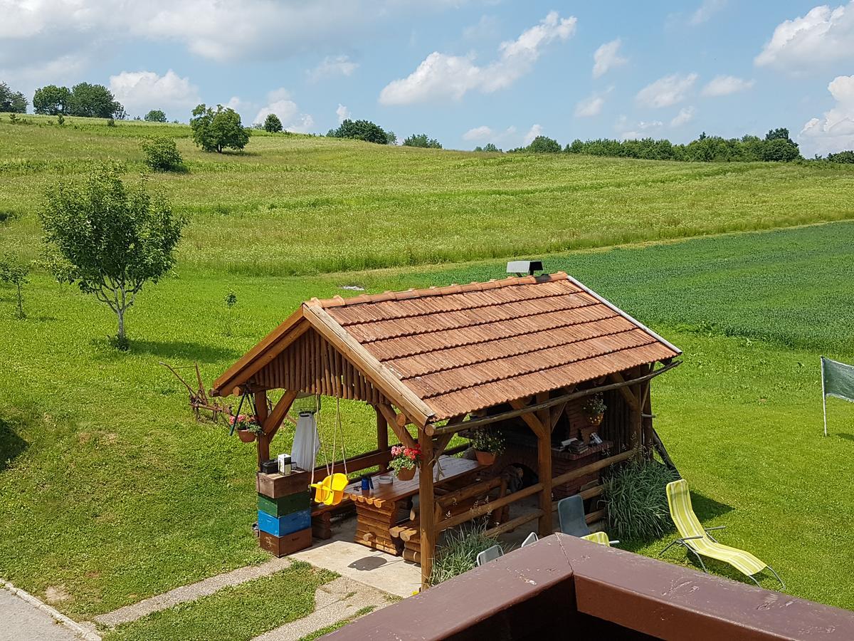 House Petra Apartment Rakovica Bagian luar foto