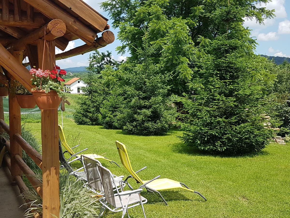 House Petra Apartment Rakovica Bagian luar foto