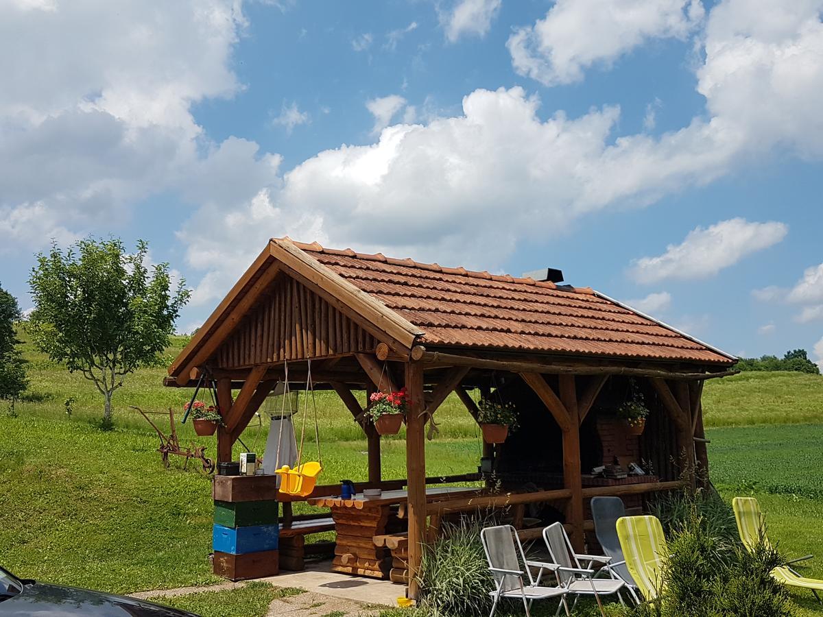House Petra Apartment Rakovica Bagian luar foto
